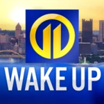 Logo of WPXI android Application 